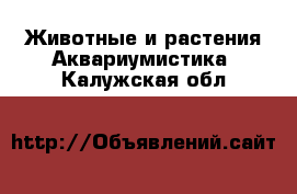 Животные и растения Аквариумистика. Калужская обл.